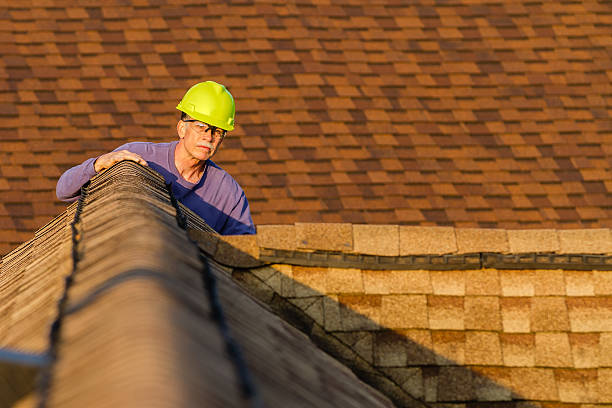 Best Shingle Roofing Installation  in Ave Maria, FL